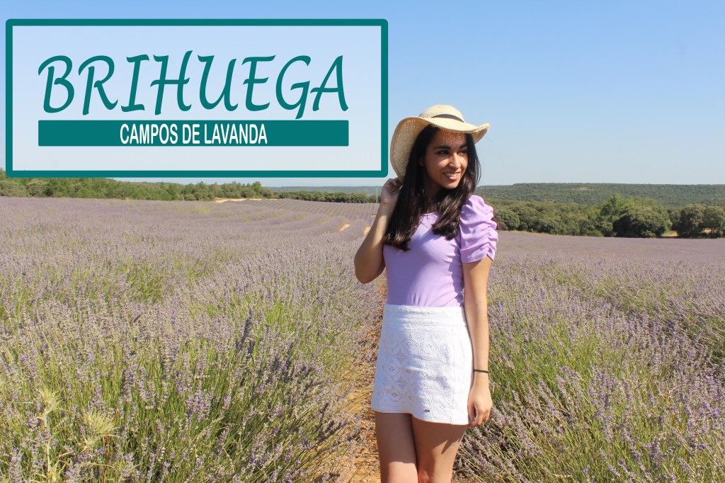 visitar los campos de lavanda de Brihuega